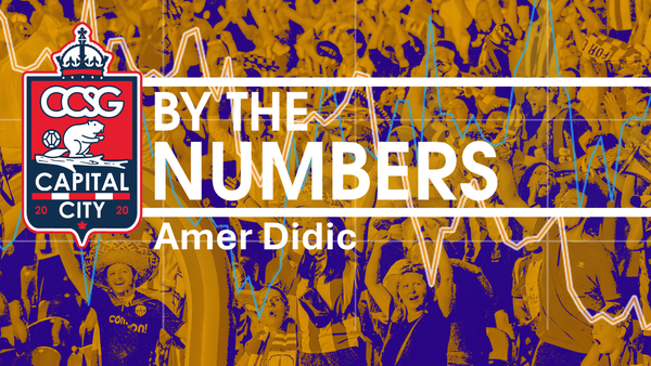 CCSG by the Numbers: Amer Didic